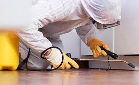 Best Residential Pest Control  in Absecon Highlands, NJ